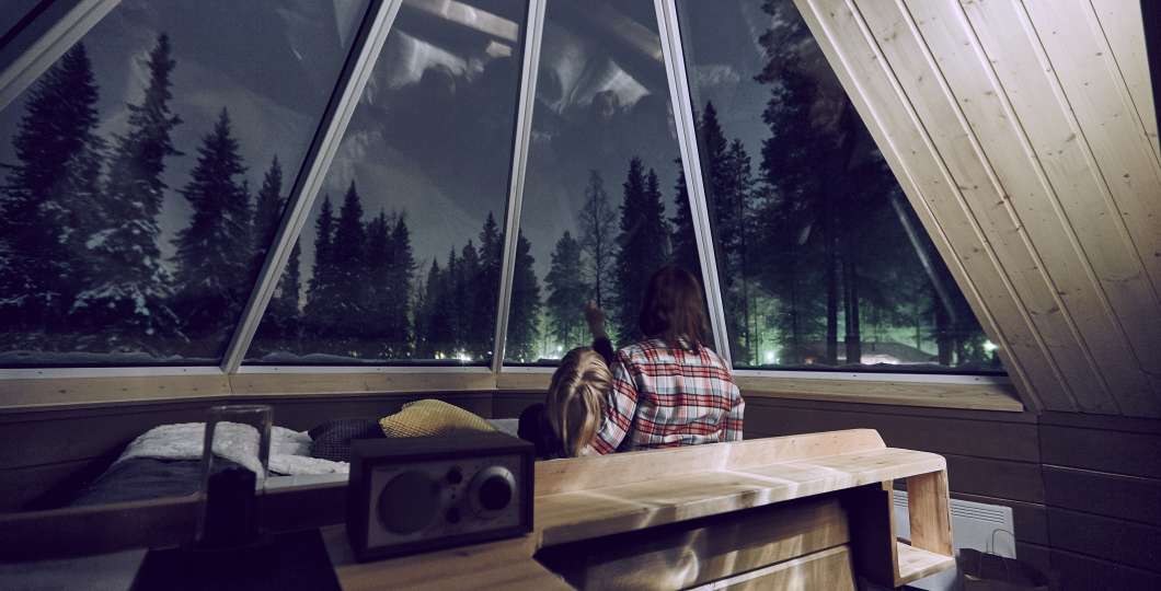 A wooden cabin interior looking out through glass at a snowy spruce forest.